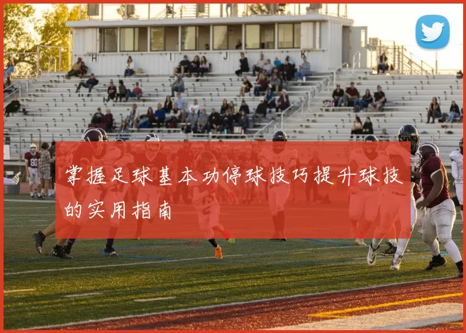 掌握足球基本功停球技巧提升球技的实用指南