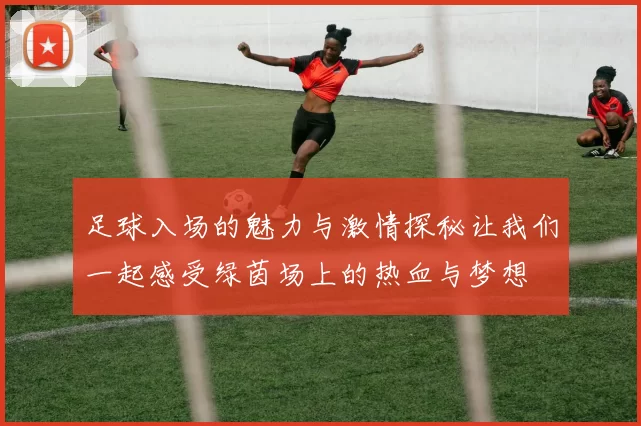 足球入场的魅力与激情探秘让我们一起感受绿茵场上的热血与梦想