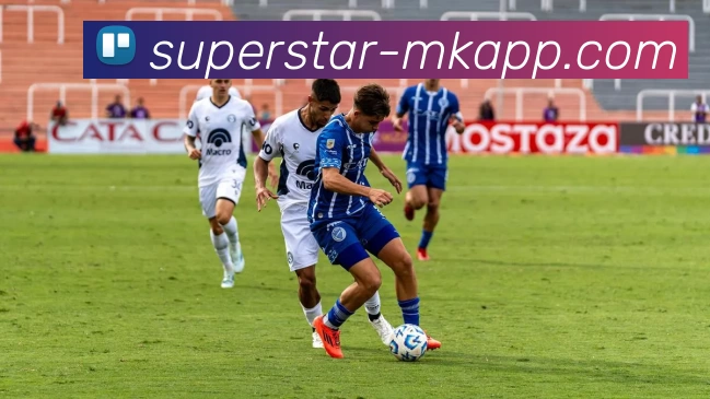 MK体育平台生态图